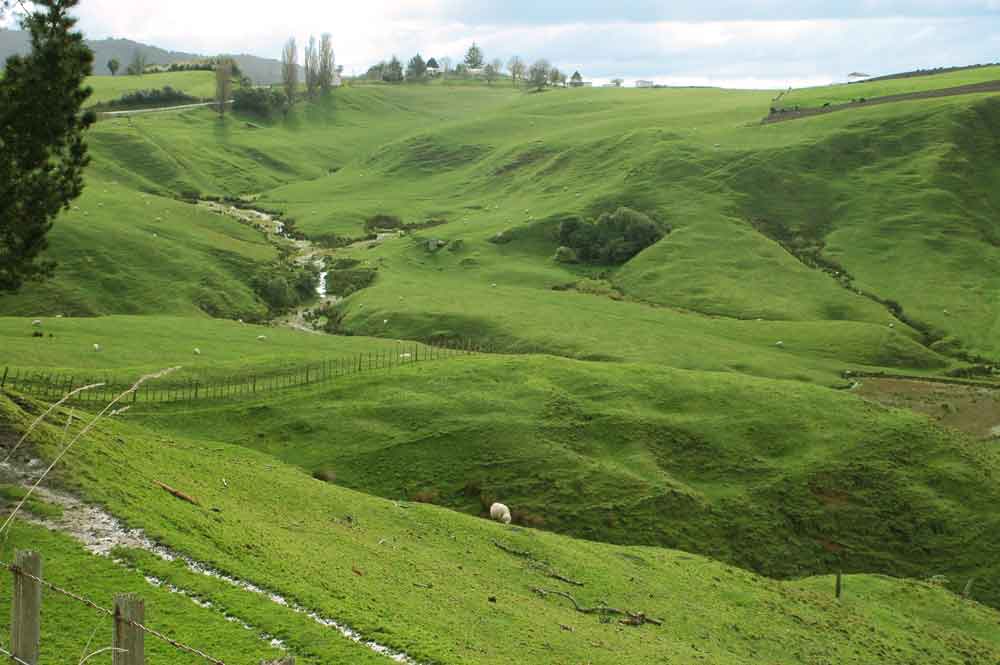 89 - Nueva Zelanda - Matamata, tierra de los hobbits